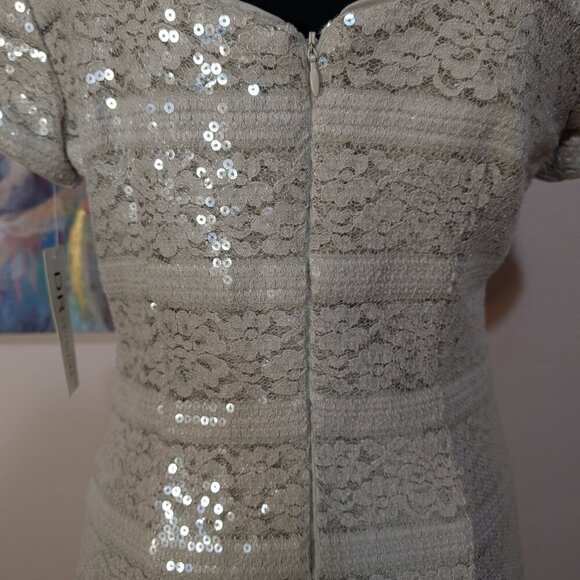 NEW Donna Ricco Knee-Length Sheath Dress, Cap Sleeve Taupe Lace & Sequin Overlay - Picture 7 of 15